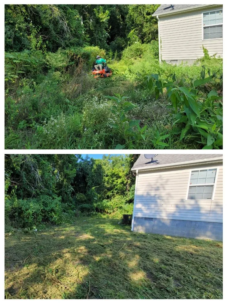 Top-rated yard maintenance in Chester, VA - Lepe Lawn Care
