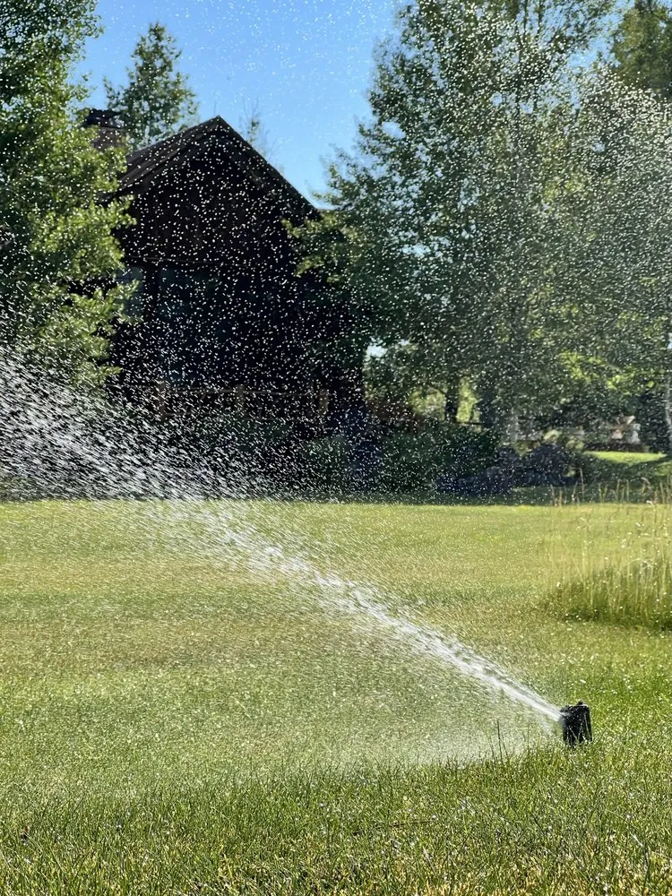 Local landscape design in Lincoln, MT by Lepinski Landscapes