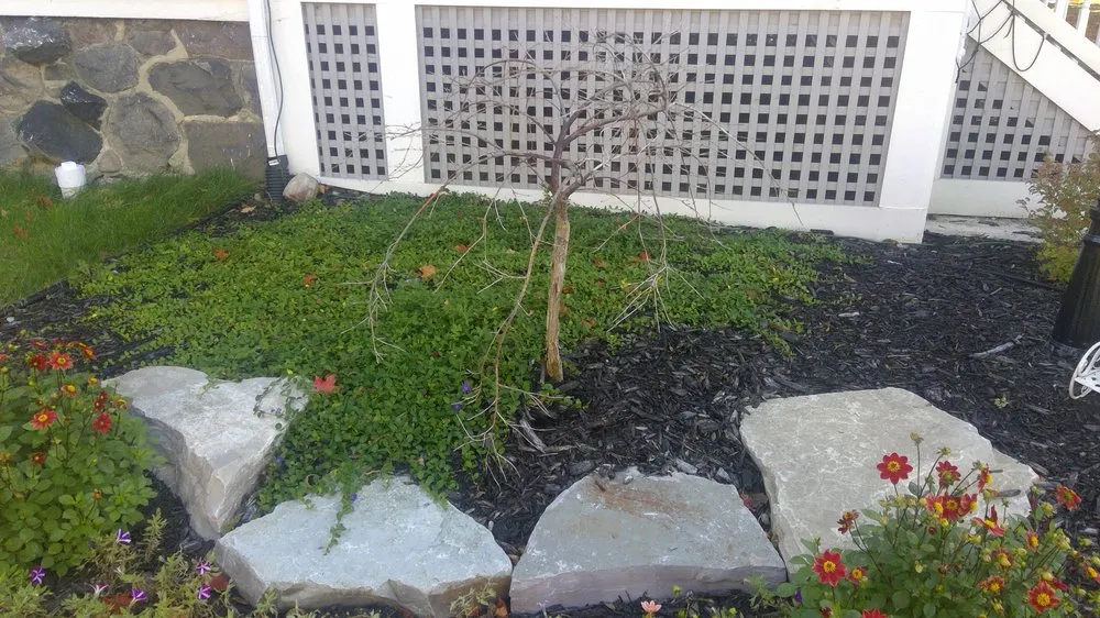 Professional garden landscaping for year-round maintenance in Brighton, MI by Leppek Landscaping