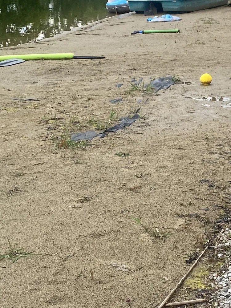 Expert yard cleanup service in Brighton, MI - Leppek Landscaping