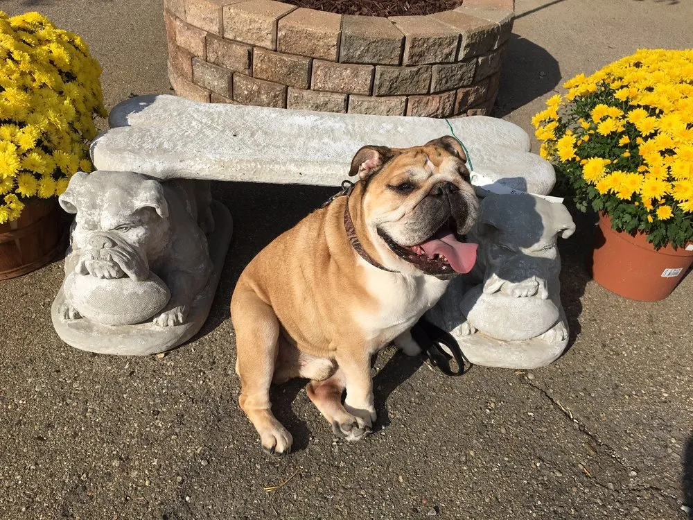 Professional landscape design in Brighton, MI by Leppek Landscaping