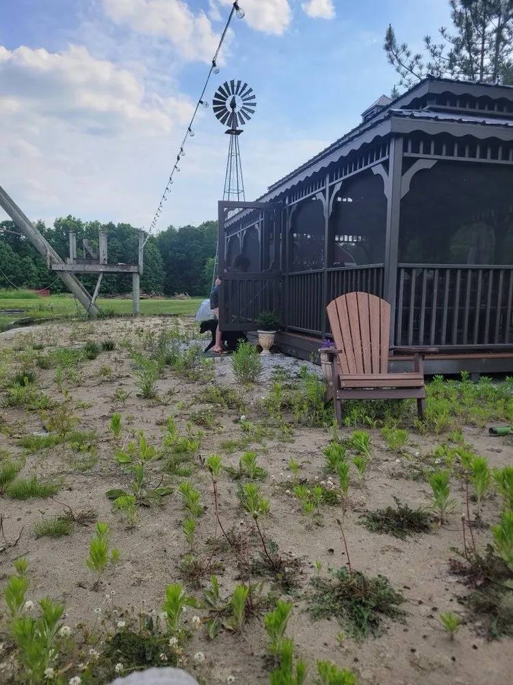 Local lawn care service experts serving Brighton, MI - Leppek Landscaping