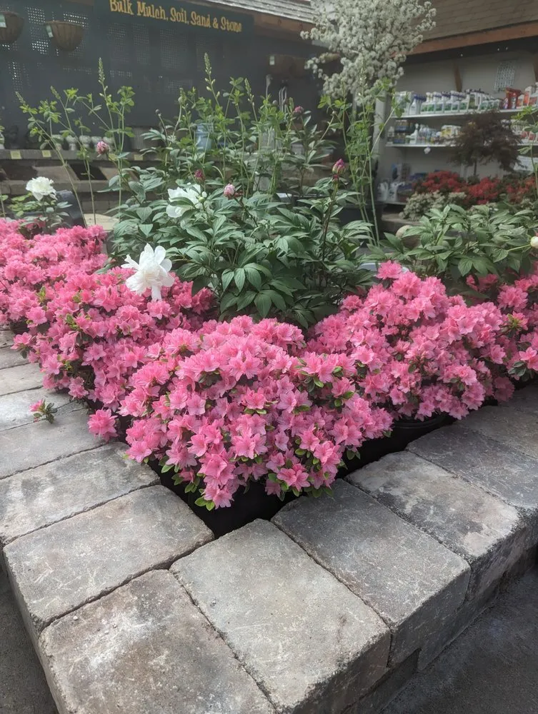 Local landscape design for homes in Brighton, MI by Leppek Nursery & Garden Center