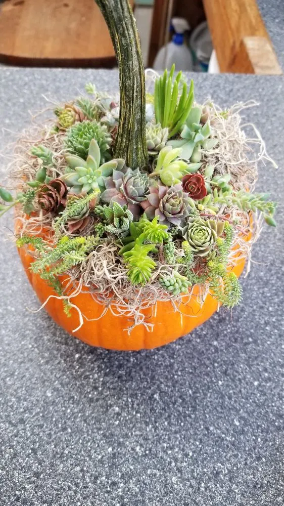 Affordable outdoor landscaping for year-round maintenance across Brighton, MI - Leppek Nursery & Garden Center