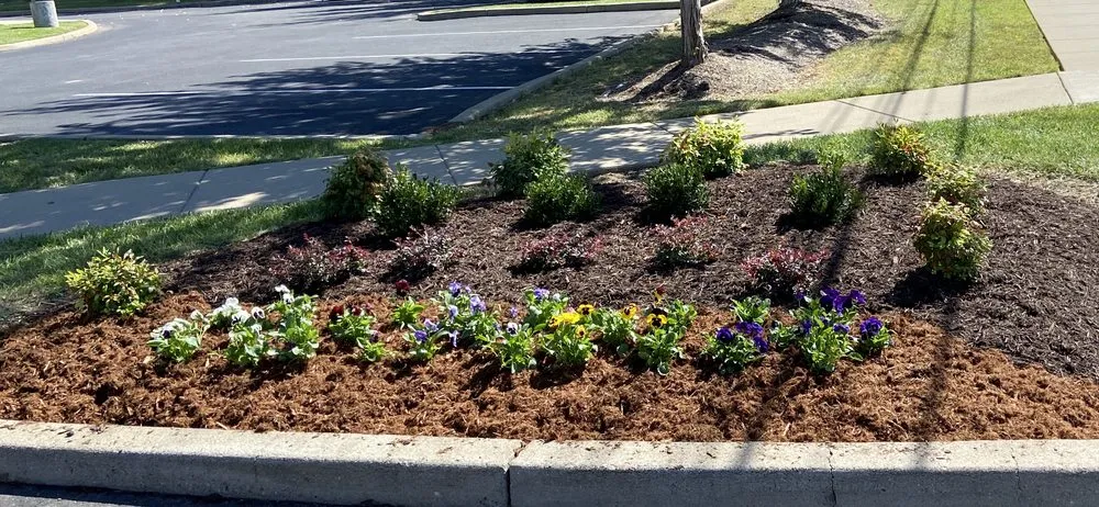 Reliable residential landscaping near you in Louisville, KY by Leppert Property Maintenance