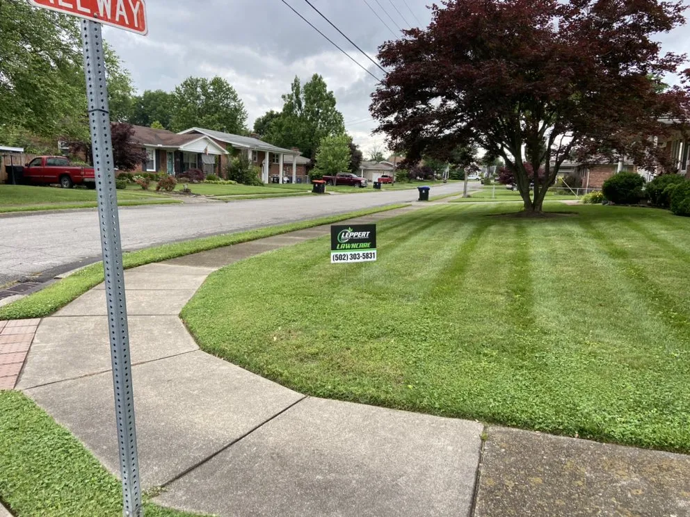 Expert landscape installation for beautiful yards in Louisville, KY by Leppert Property Maintenance