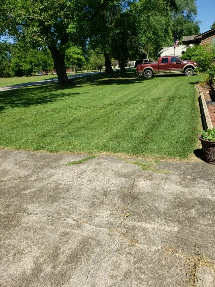 Local yard cleanup service experts serving Chattanooga, TN - Leprechaun Landscaping
