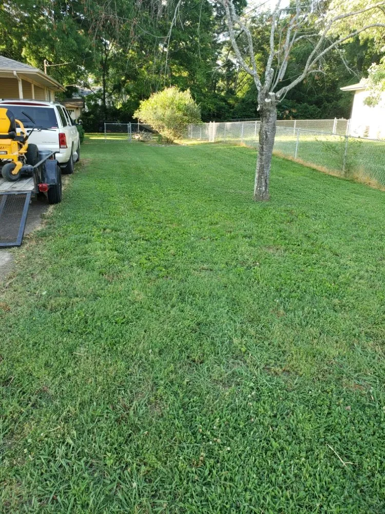 Top-rated landscape installation for residential properties across Chattanooga, TN - Leprechaun Landscaping