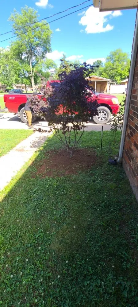 Custom yard cleanup service in Chattanooga, TN - Leprechaun Landscaping