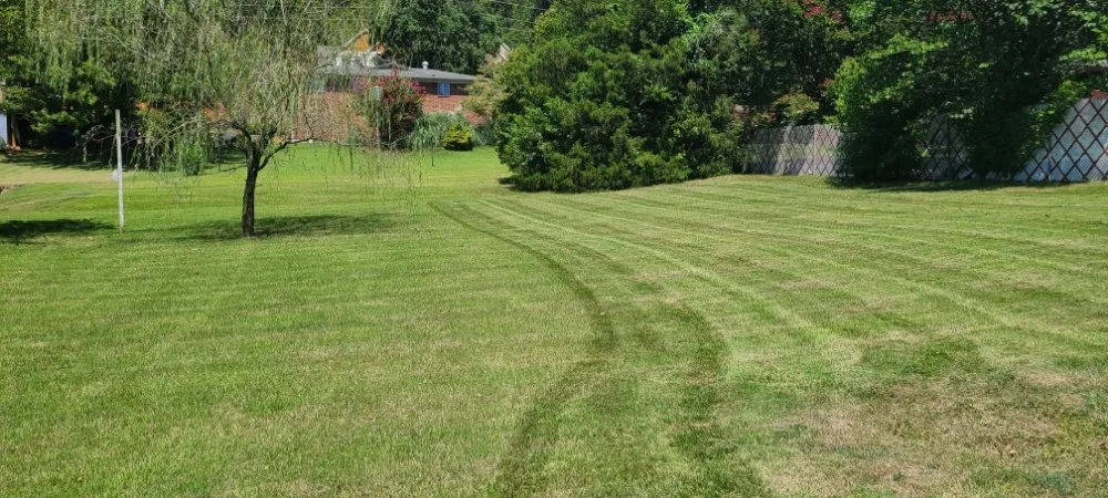 Top-rated lawn mowing service in Chattanooga, TN - Leprechaun Landscaping