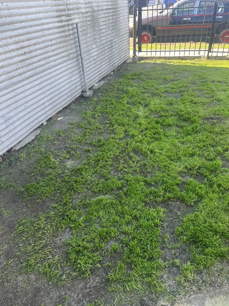 Expert residential landscaping in Los Angeles, CA - Leprechaun Services