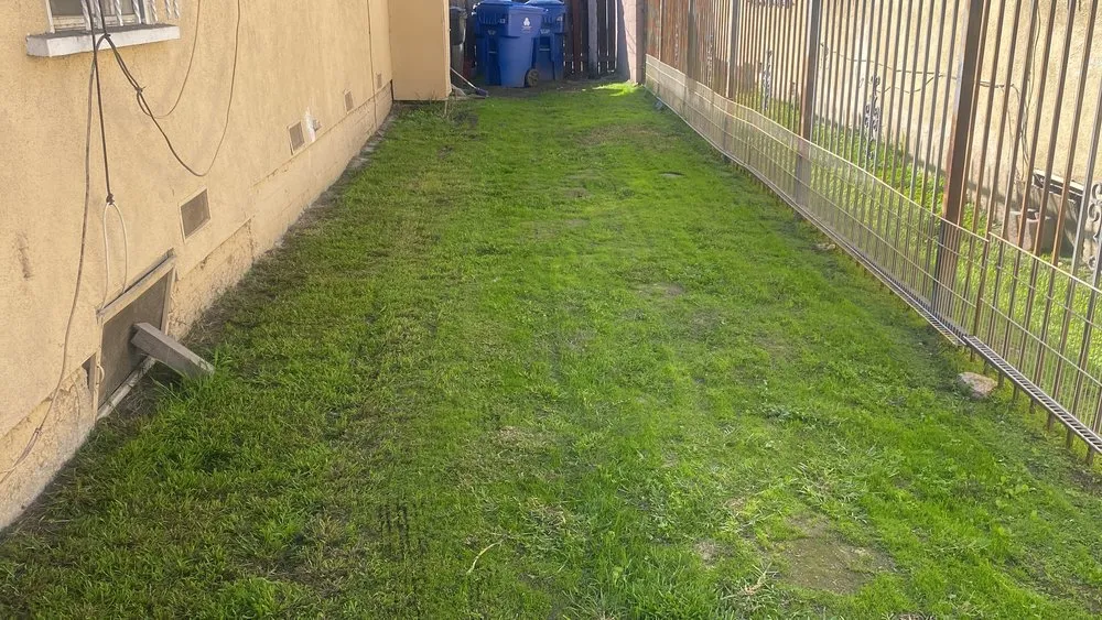 Custom lawn care service with custom design across Los Angeles, CA - Leprechaun Services