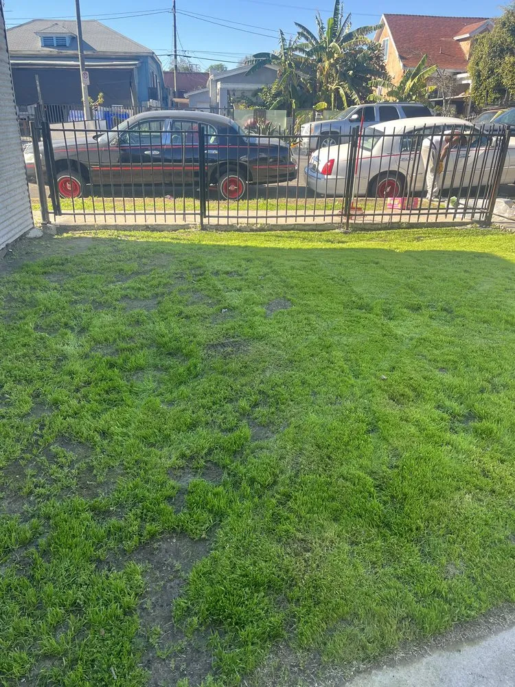 Expert outdoor landscaping in Los Angeles, CA by Leprechaun Services