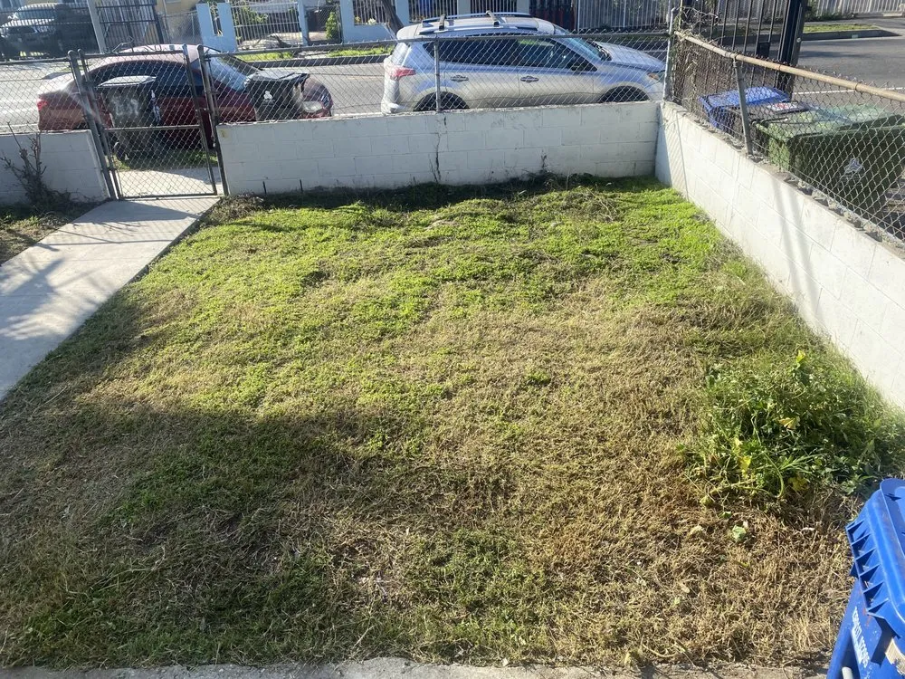 Reliable garden landscaping near you in Los Angeles, CA by Leprechaun Services