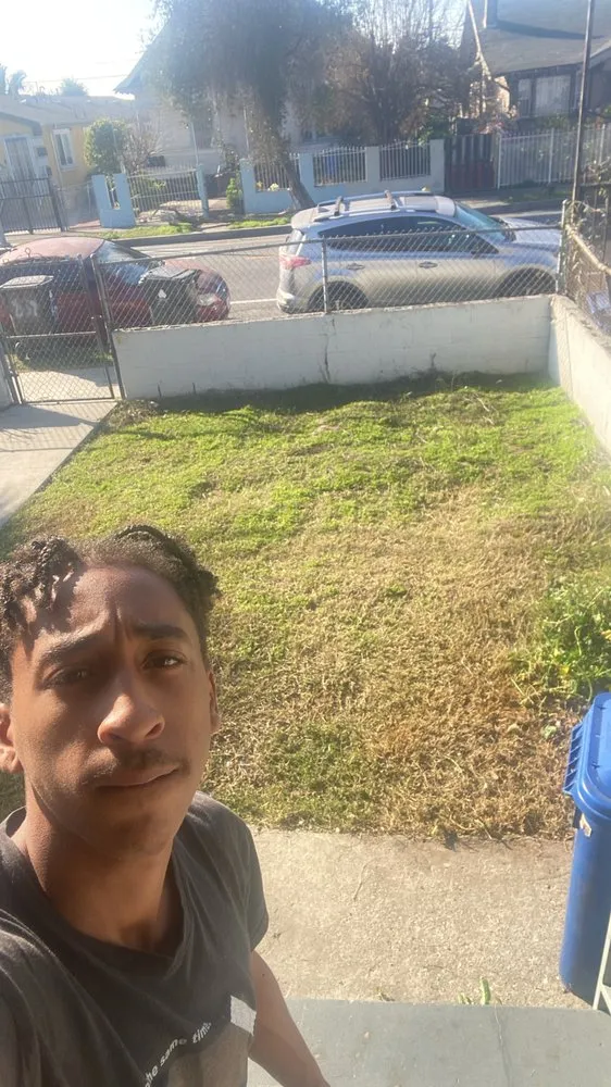 Affordable yard maintenance experts serving Los Angeles, CA - Leprechaun Services