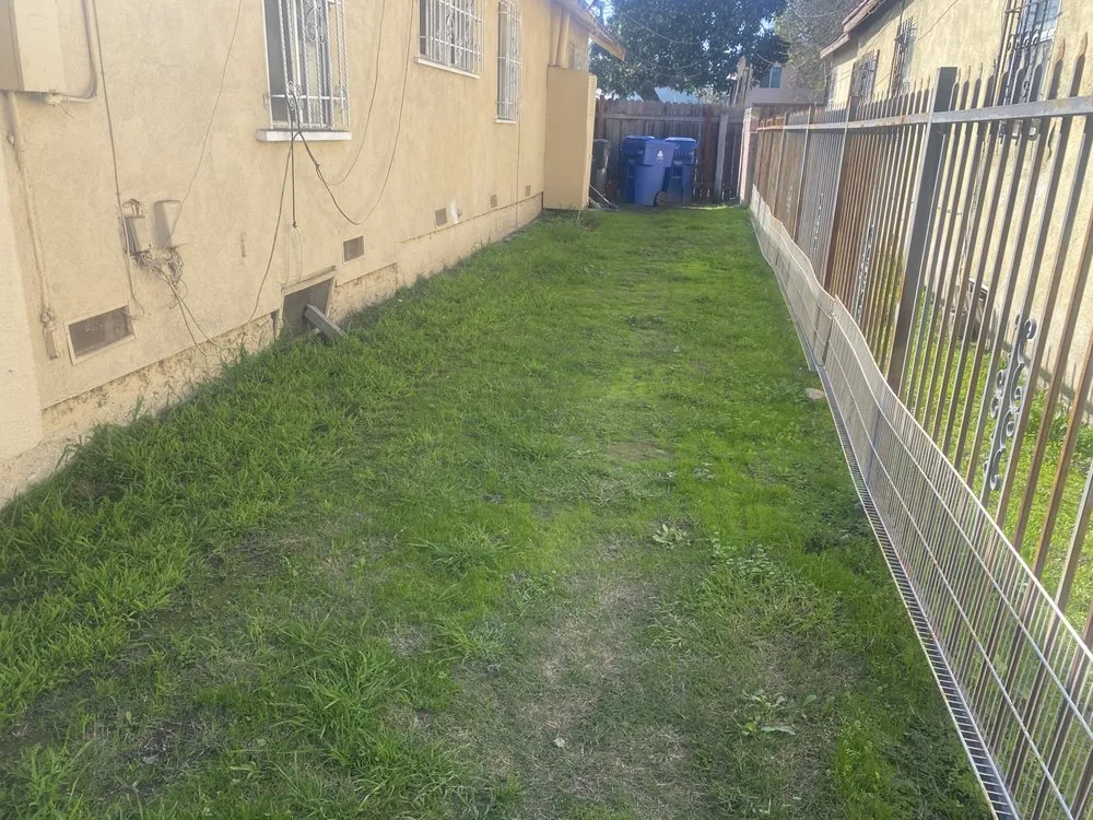 Reliable lawn care service in Los Angeles, CA by Leprechaun Services