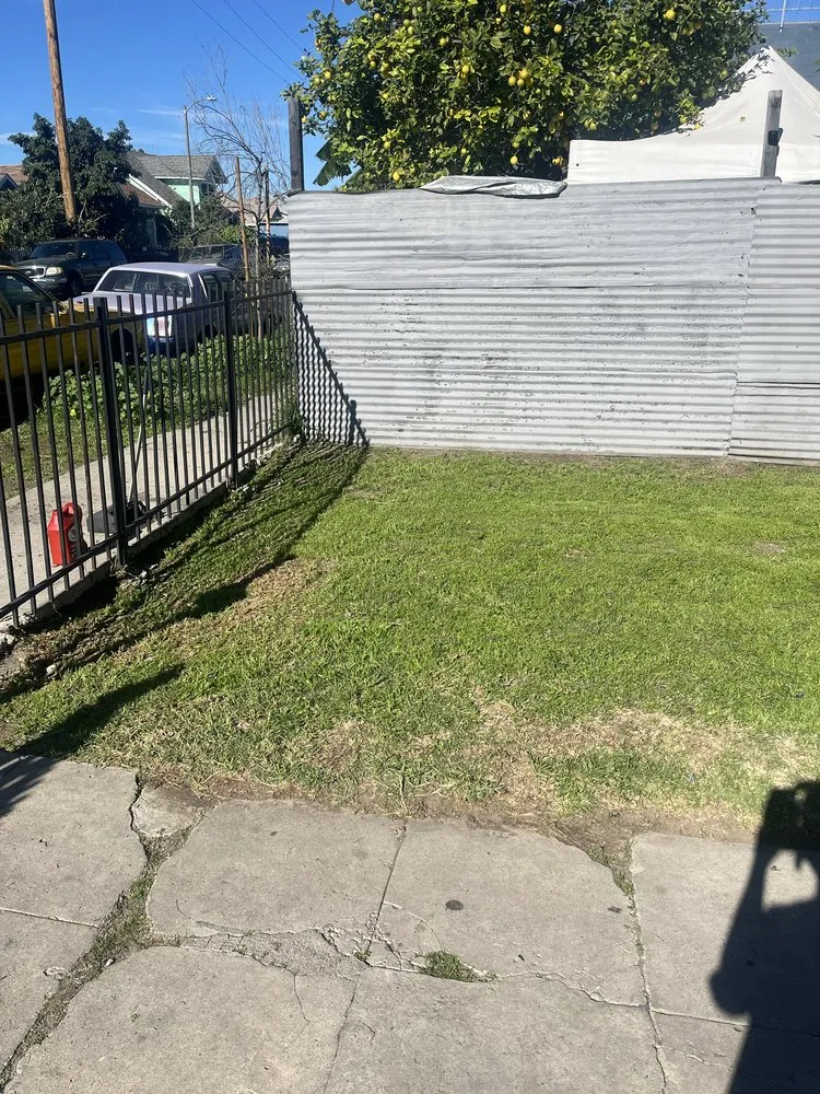 Top-rated outdoor landscaping with custom design in Los Angeles, CA by Leprechaun Services