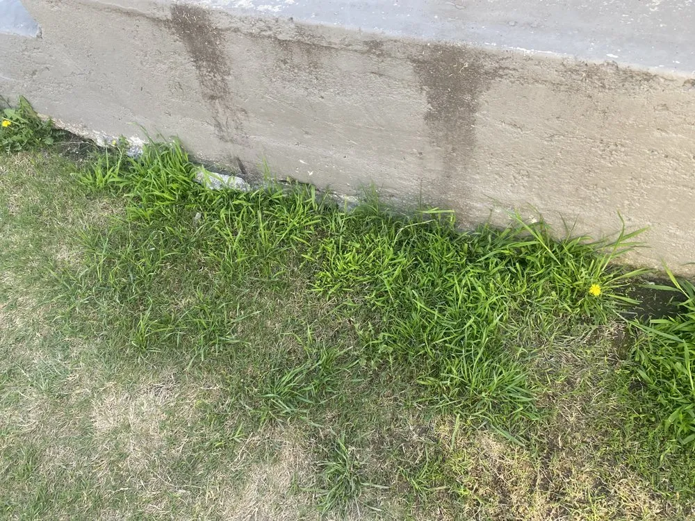 Affordable outdoor landscaping for residential properties across Los Angeles, CA - Leprechaun Services