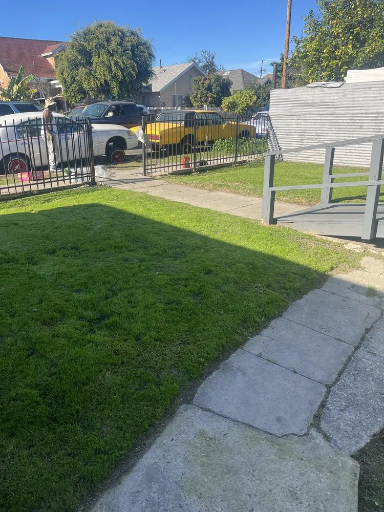 Custom yard cleanup service in Los Angeles, CA by Leprechaun Services
