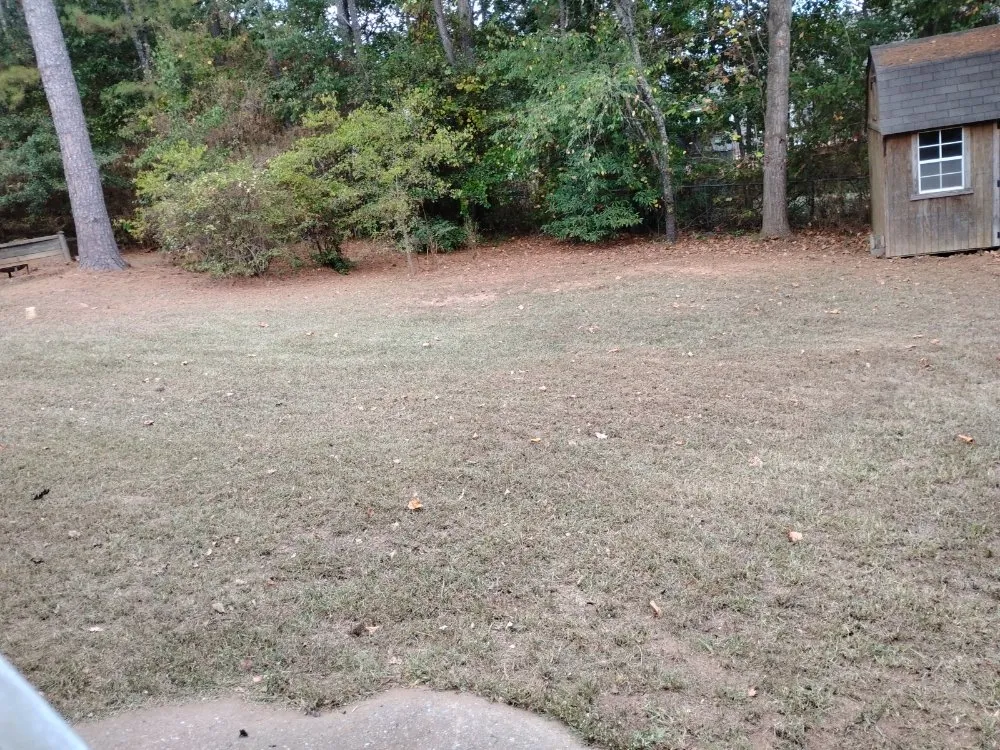 Local yard maintenance experts serving Cartersville, GA - Leprechaun's Landscaping