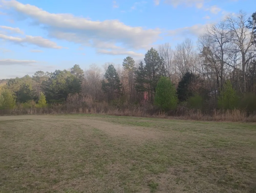 Top-rated landscape installation for year-round maintenance in Cartersville, GA by Leprechaun's Landscaping