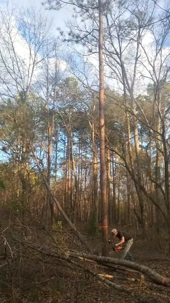 Professional landscaping services in Cartersville, GA - Leprechaun's Landscaping