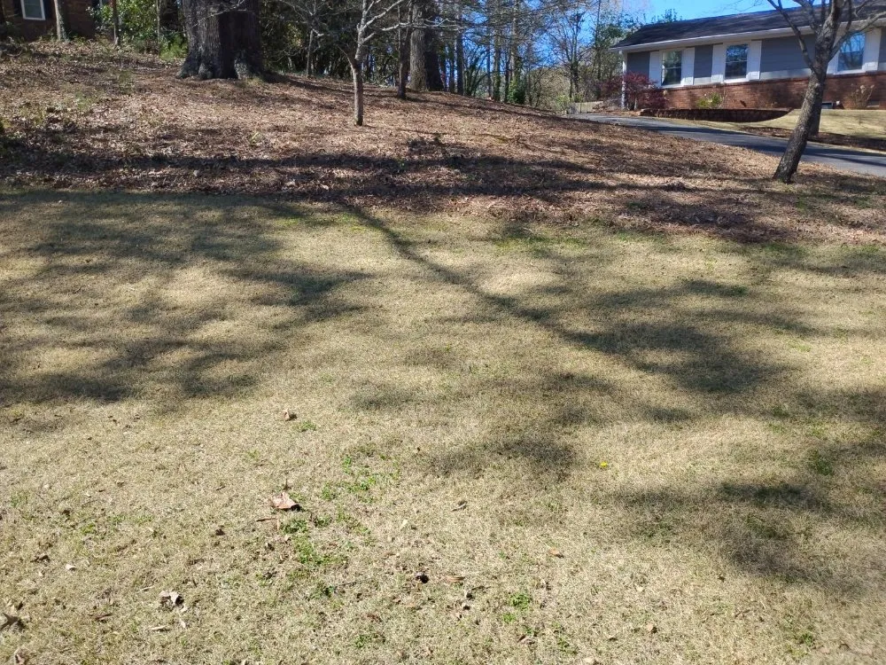 Expert landscape design in Cartersville, GA by Leprechaun's Landscaping