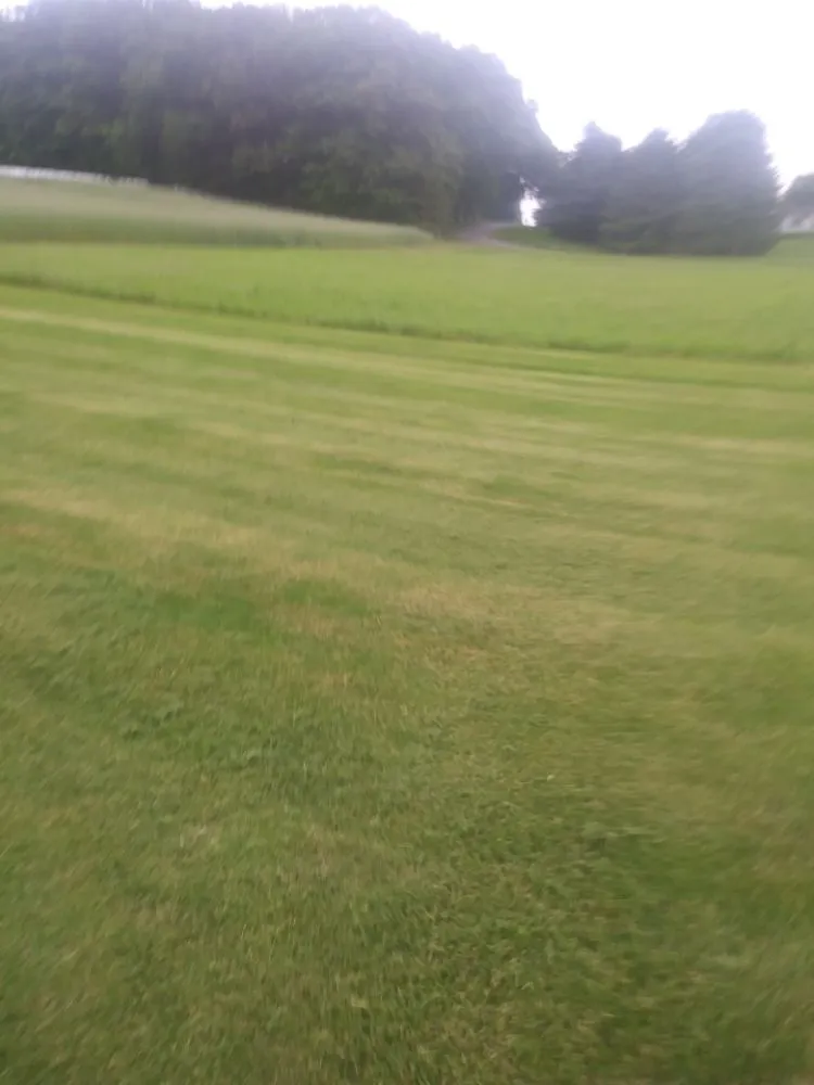 Top-rated lawn care service in Minersville, PA - Leroy's Lawn Service