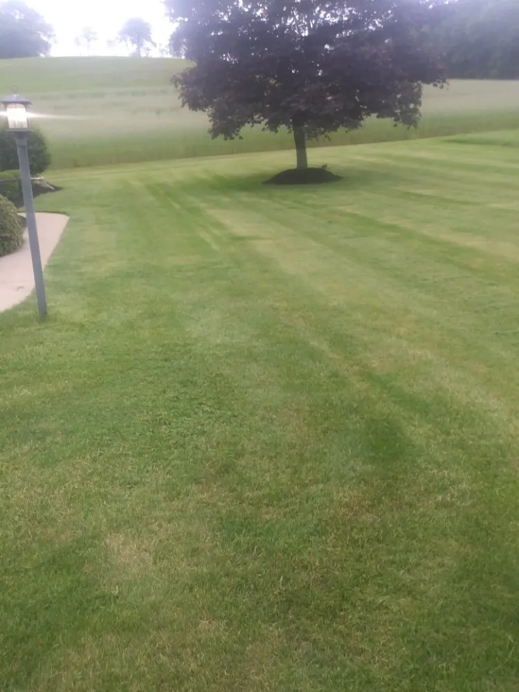 Reliable outdoor landscaping experts serving Minersville, PA - Leroy's Lawn Service