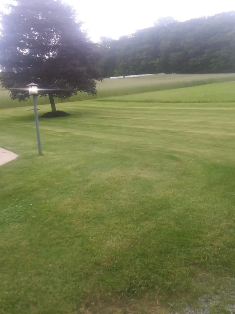 Custom lawn care service in Minersville, PA by Leroy's Lawn Service