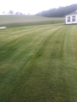 Leroy's Lawn Service