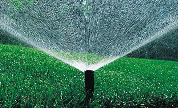 Expert landscape installation in Garden City, ID - Les Bois Landscape