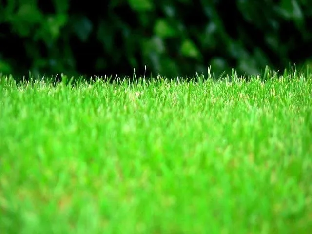 Custom outdoor landscaping in Garden City, ID by Les Bois Landscape