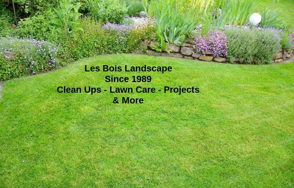 Local yard maintenance for outdoor upgrades across Garden City, ID - Les Bois Landscape