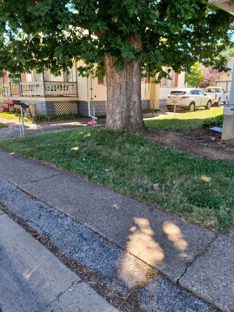 Local yard maintenance experts serving Wilmington, DE - LES lawn services