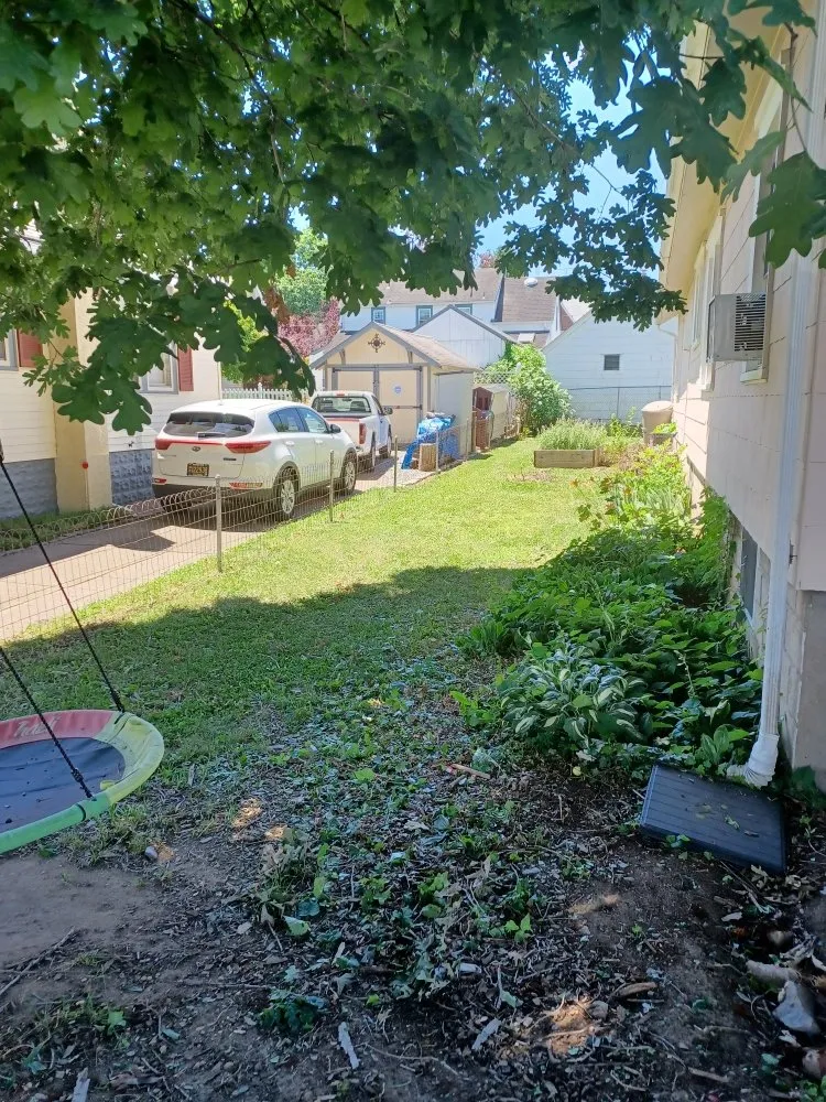 Expert lawn care service experts serving Wilmington, DE - LES lawn services