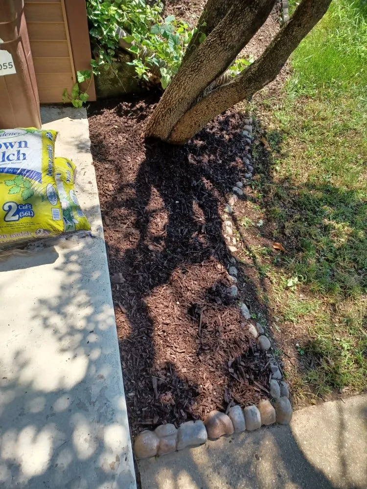 Reliable lawn care service near you in Wilmington, DE by LES lawn services