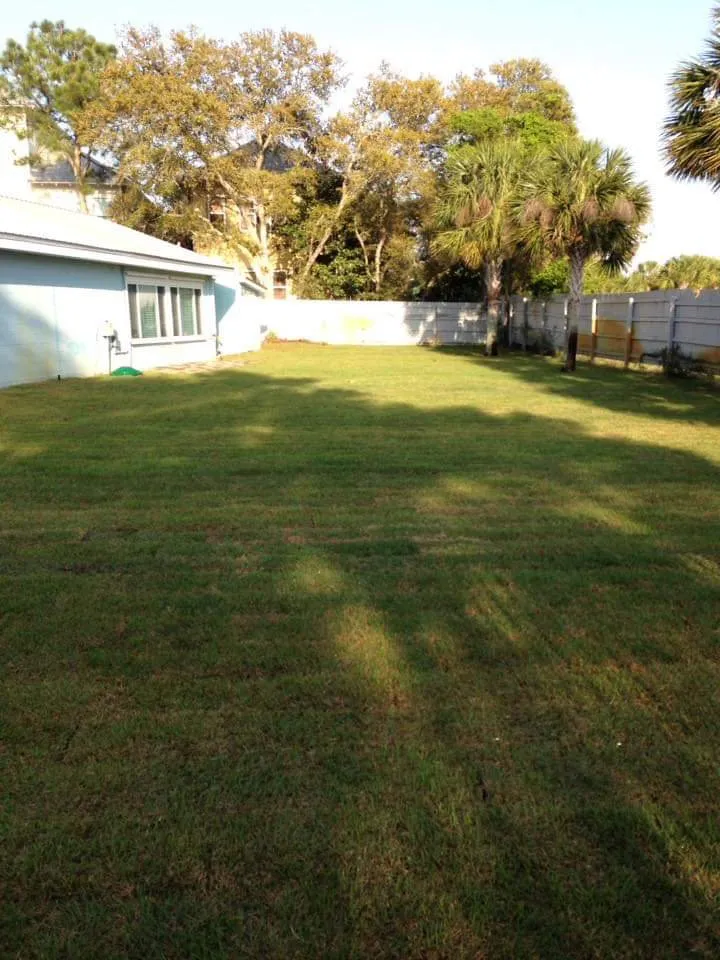 Professional landscape design in Monroe, GA - Les-N Lawncare