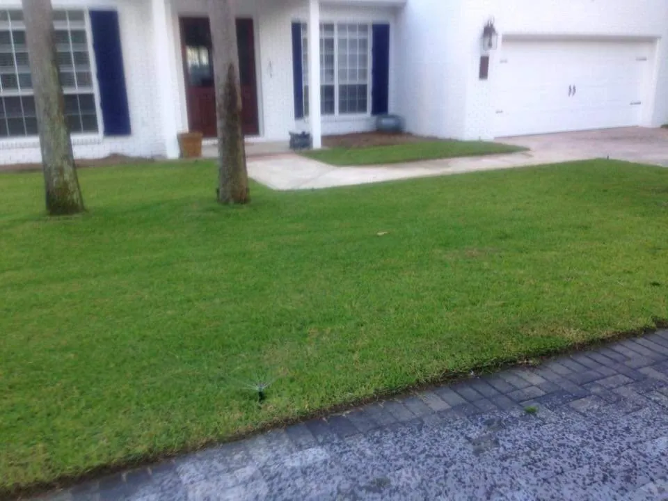 Local yard cleanup service experts serving Monroe, GA - Les-N Lawncare
