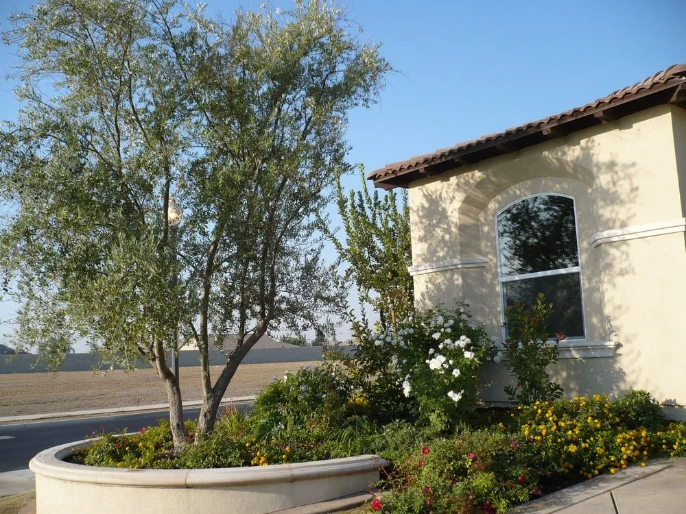 Local lawn care service with custom design in Bakersfield, CA by Lesaca Landscape Company