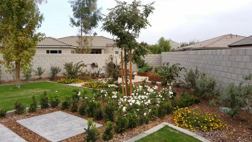 Top-rated yard cleanup service in Bakersfield, CA - Lesaca Landscape Company
