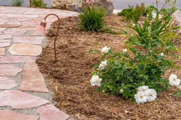 Lesaca Landscape Company Logo