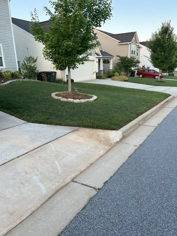 Local yard maintenance near you in Greensboro, NC by Lesane Lawn Care & Cleaning