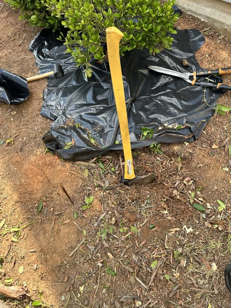 Expert landscape installation in Greensboro, NC by Lesane Lawn Care & Cleaning