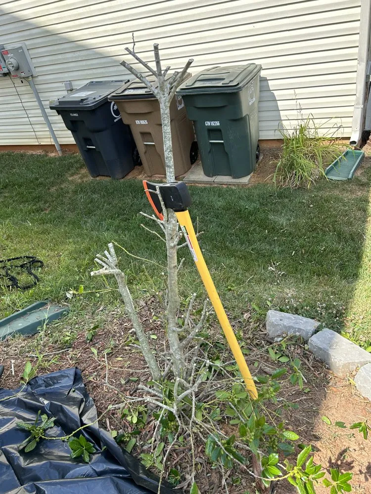 Expert landscape design experts serving Greensboro, NC - Lesane Lawn Care & Cleaning