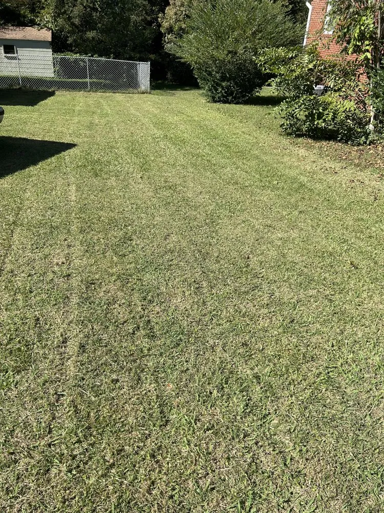 Local yard cleanup service for beautiful yards in Greensboro, NC by Lesane Lawn Care & Cleaning