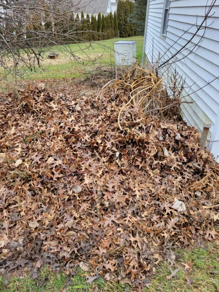 Reliable yard maintenance in Spring Brook Township, PA by Lesavage Groundskeeping