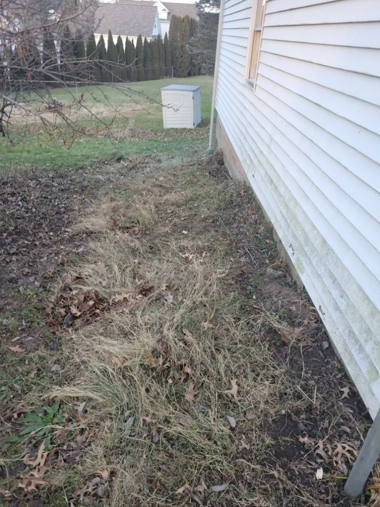 Reliable lawn care service in Spring Brook Township, PA by Lesavage Groundskeeping