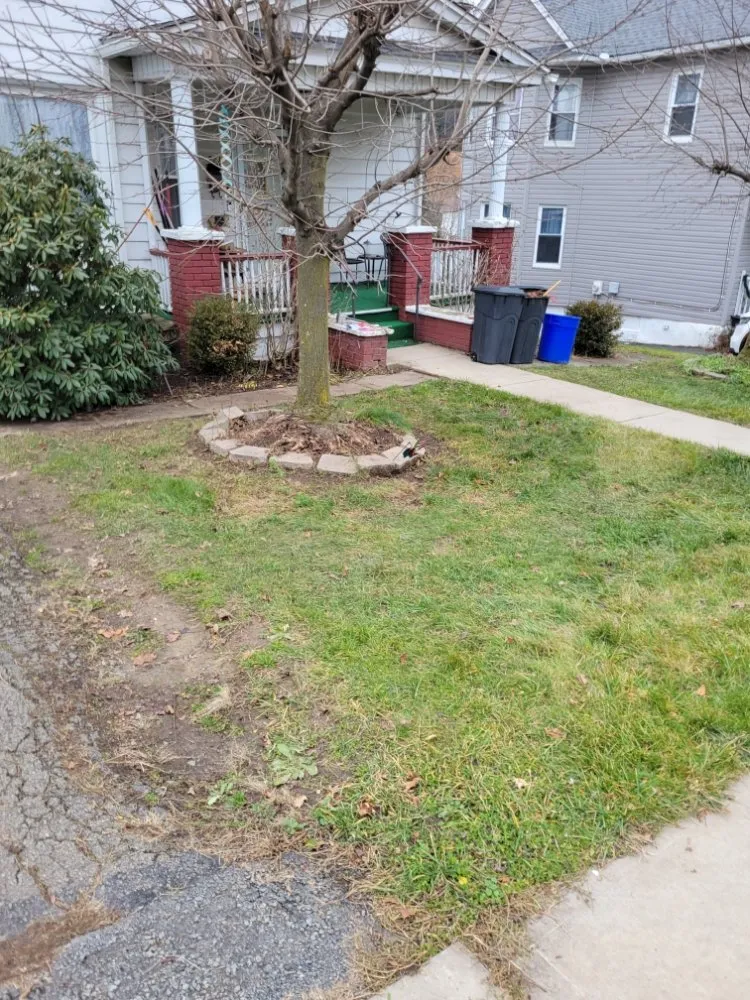Local outdoor landscaping for outdoor upgrades across Spring Brook Township, PA - Lesavage Groundskeeping