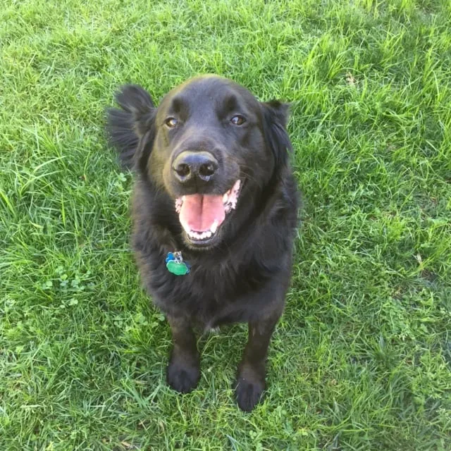 Custom yard cleanup service in Murrieta, CA by Le'Scape